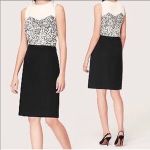 LOFT ANN TAYLOR DRESS IVORY WITH BLACK PATTERN AND BLACK BOTTOM HALF SIZE 4